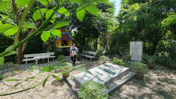 125 năm cao su cho vàng ở Việt Nam - Kỳ 3: Tìm cây cao su của bác sĩ Yersin ở Suối Dầu